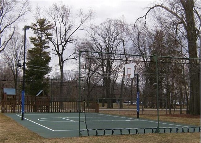 basketball court - 1408 Eagle Bay Dr