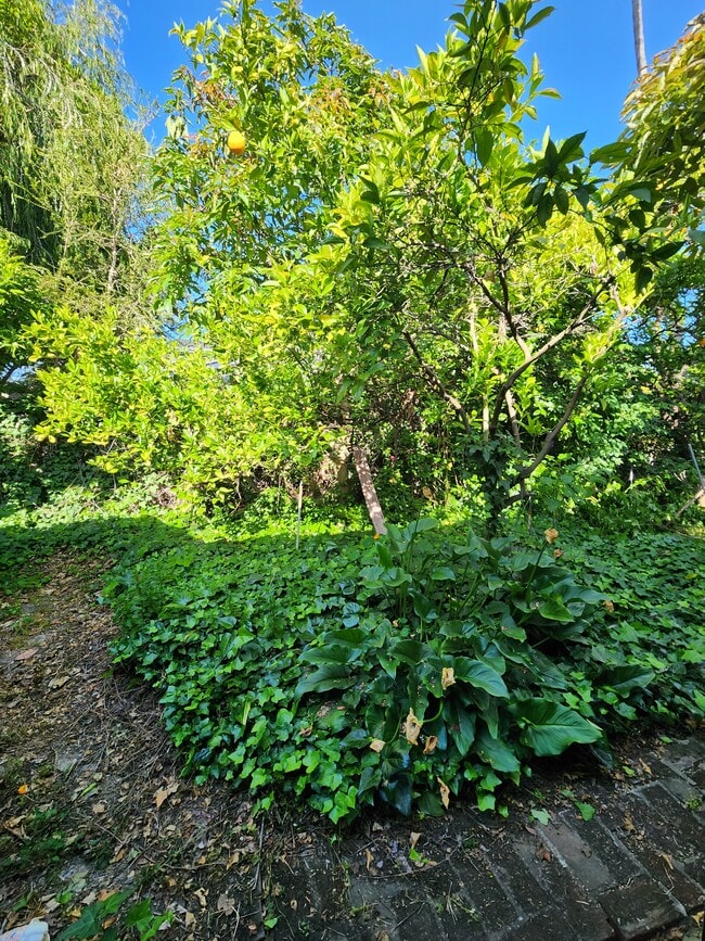 Building Photo - 3700 Vantage Ave