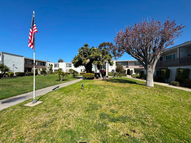 Building Photo - Bright and Spacious Downstairs Condo Minut...