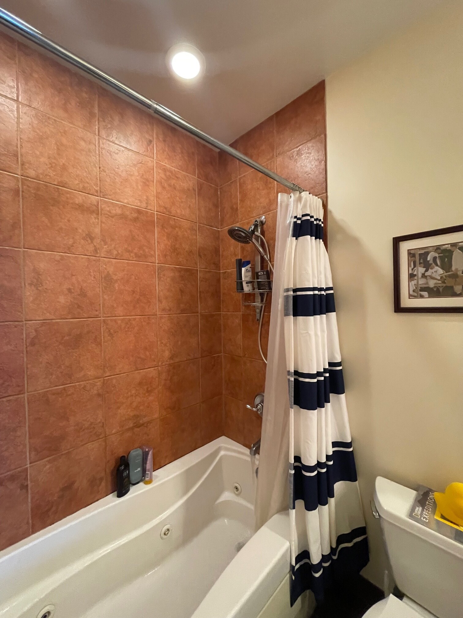 Master Bath - 720 N Larrabee St Unit 1707