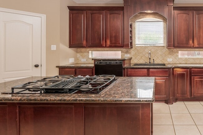 Building Photo - 12406 Santiago Cove Ln