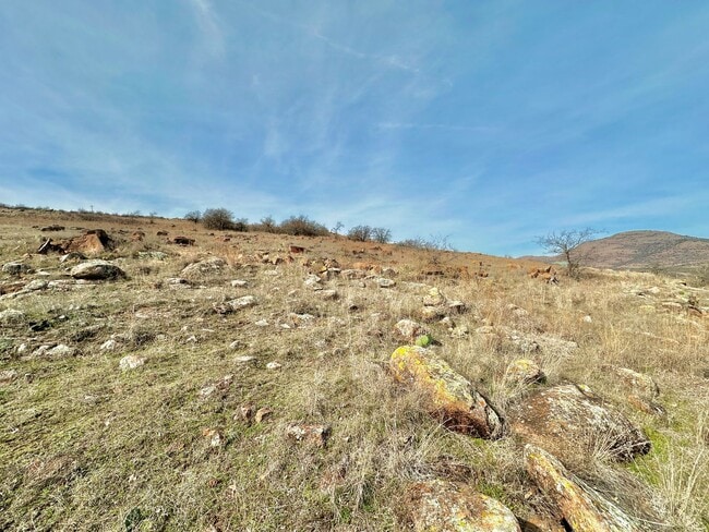 Building Photo - Rustic Charm