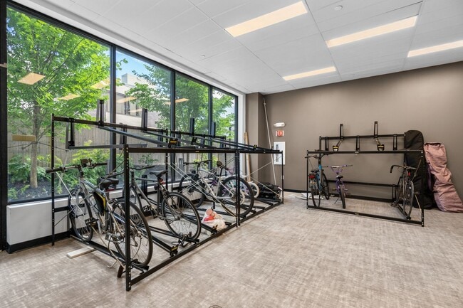 Building Photo - Studio with Laundry in Unit; Gym on Site! Pet-friendly