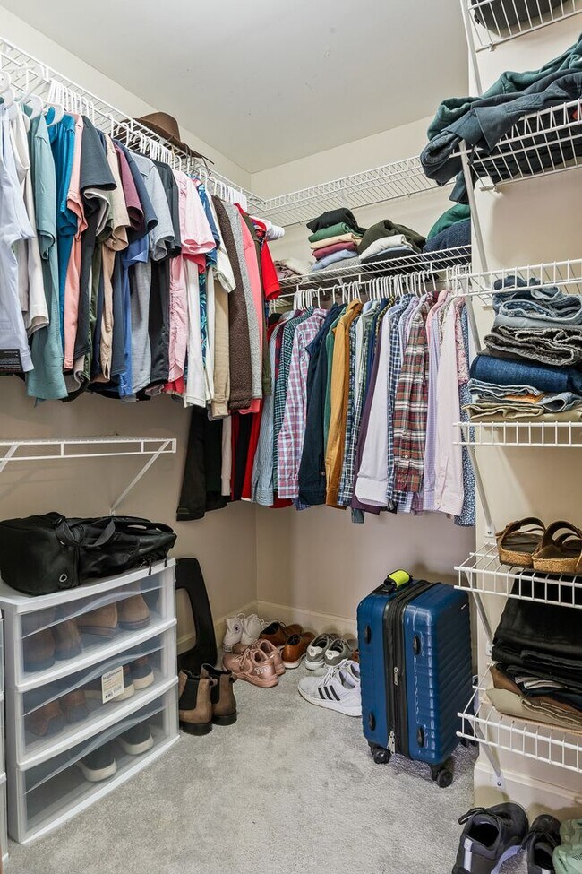 Building Photo - Charming St. Matthews Ranch