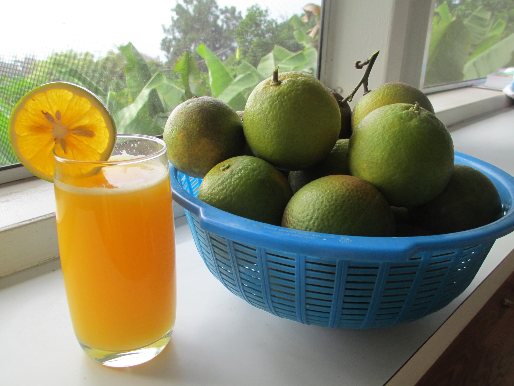 Building Photo - 87 Mamalahoa Hwy