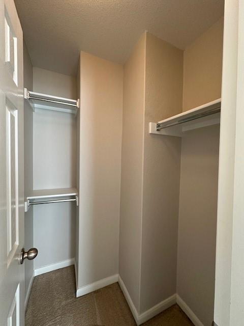 Building Photo - 2505 Charolais Ct