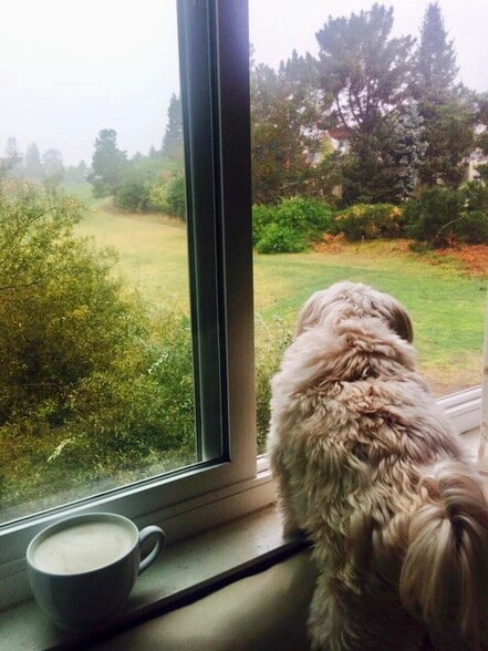 Building Photo - 4016 Farm Hill Blvd