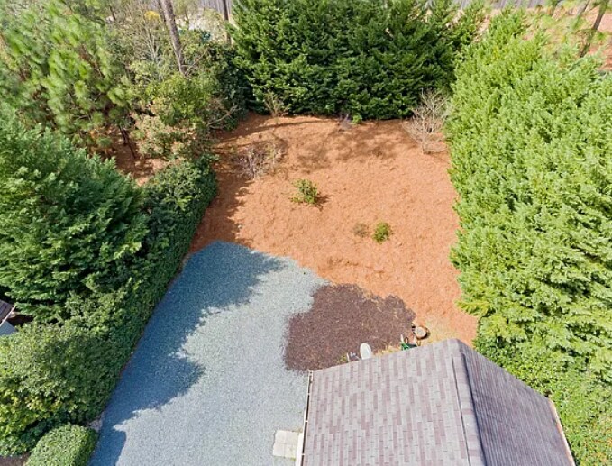 Backyard - 490 Sheldon Rd