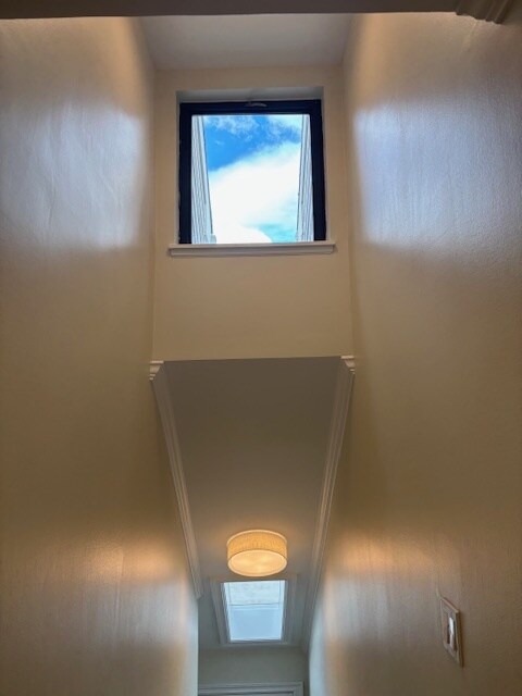 Entrance Sky Light - 15 River Rd