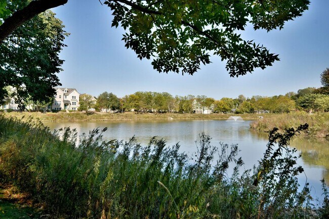 Building Photo - 982 Indigo Ct