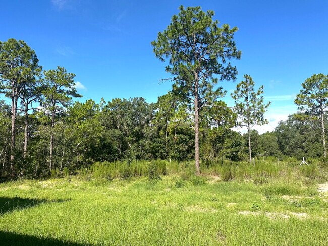 Building Photo - For Rent! Beautiful New Construction Home ...
