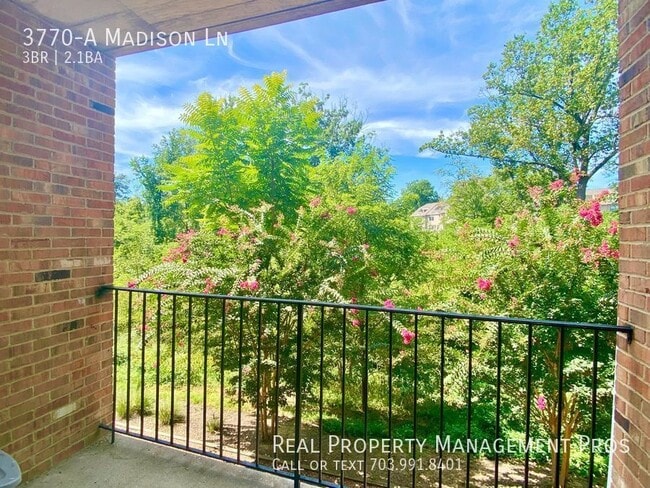 Building Photo - 3770-A Madison Ln-