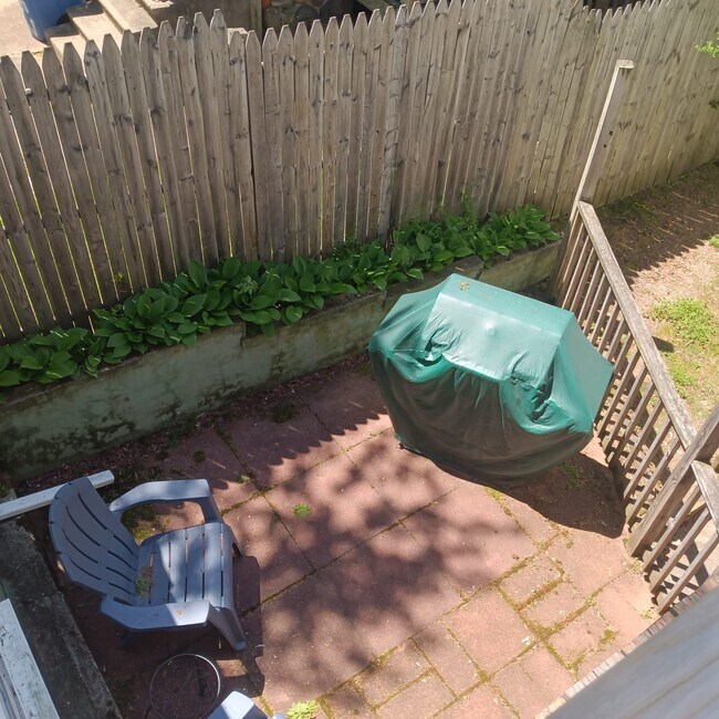 Rear Deck - 261 View St