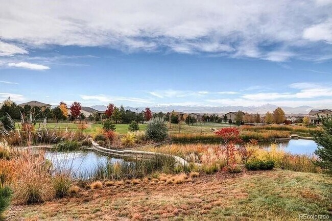 Building Photo - High End 4 Bed 5 Bath House in the Anthem ...