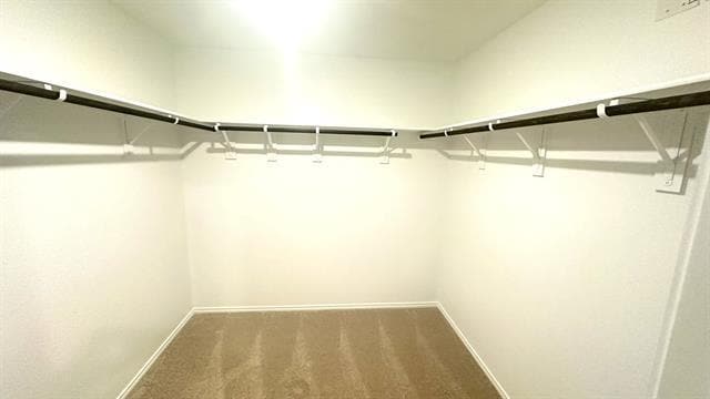 Building Photo - 3420 Flicker Ln