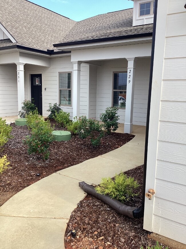 Building Photo - 229 Paca Ln