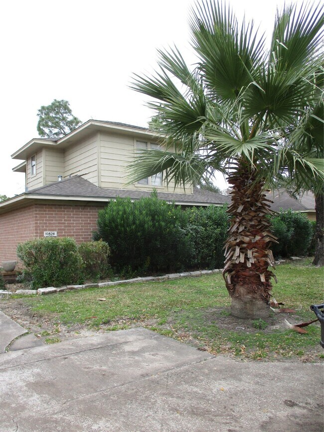 Building Photo - 10826 Sugar Hill Dr