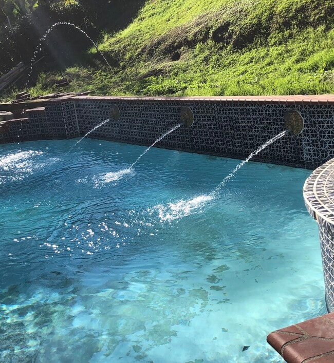 Swimming pool - 49 Rising Hill Rd