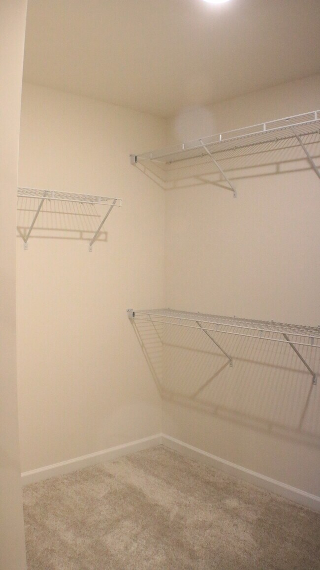 Building Photo - 2767 Lawlor Ln