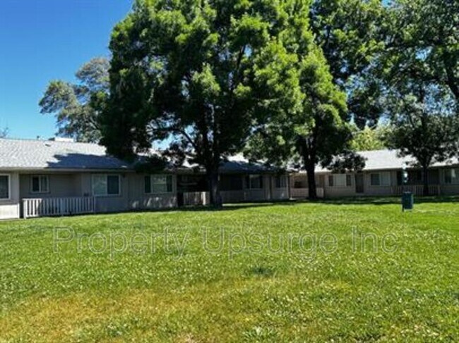 Building Photo - 3629 Bechelli Ln