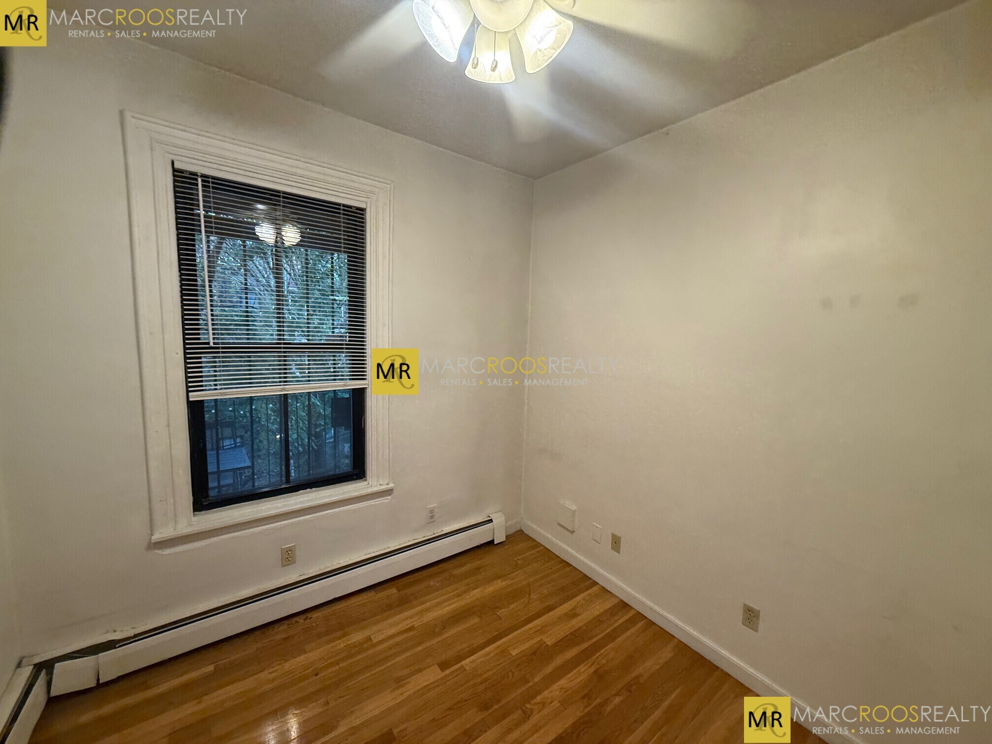 Building Photo - 43 E Springfield St