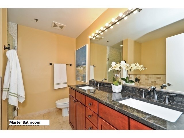 Master Bathroom - 758 N Larrabee St