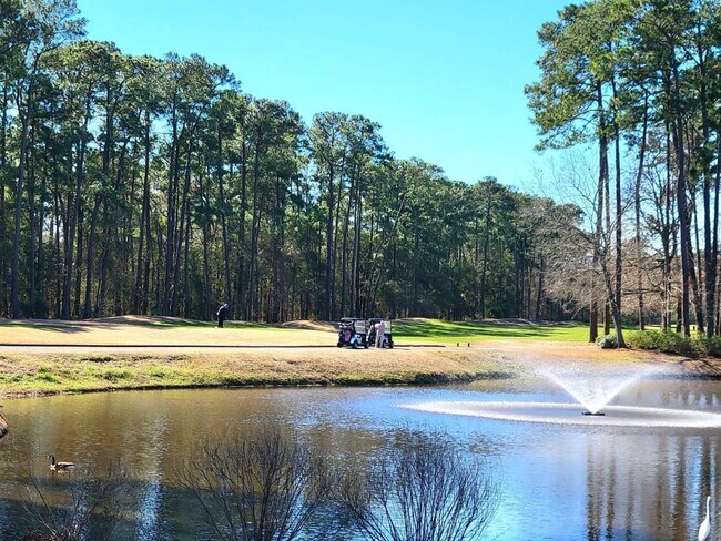 Building Photo - 4412 Gold Flower Loop