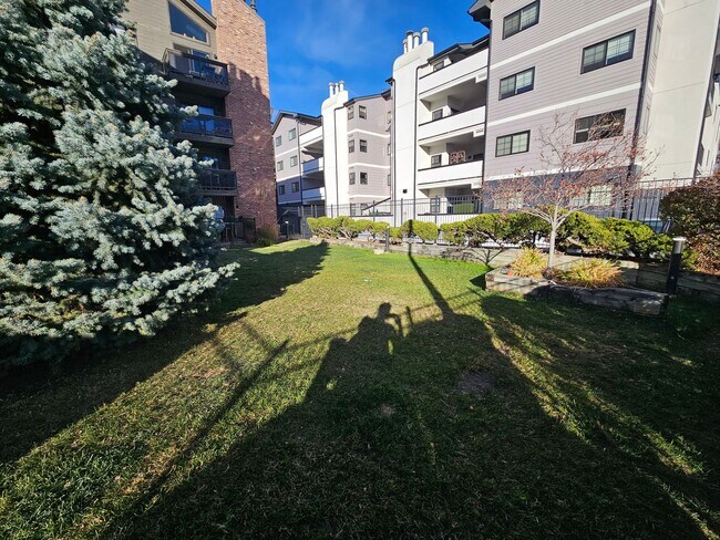 Building Photo - Cherry Creek Beautiful and Bright 1 Bed 1 Bath Condo