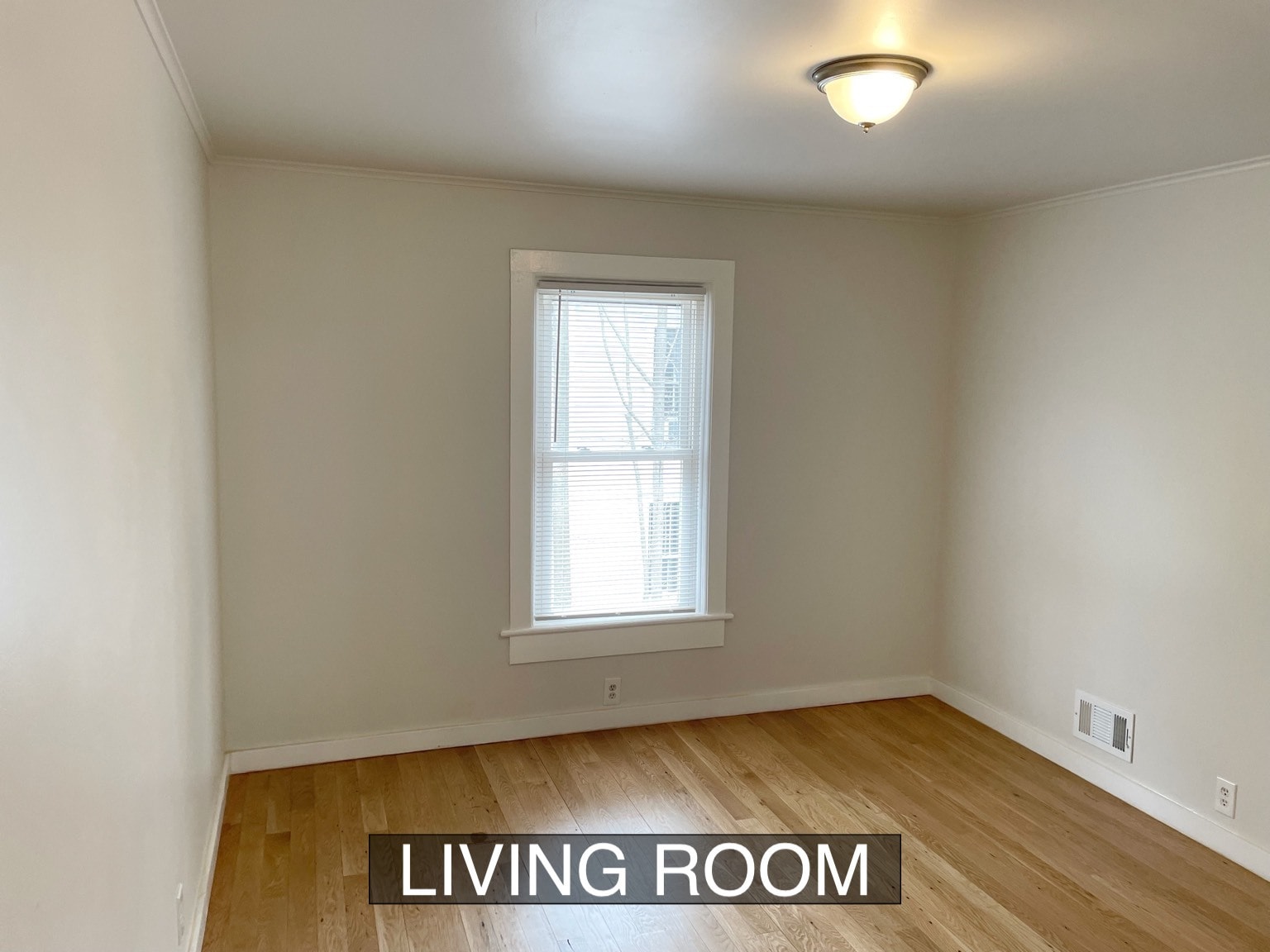 Living room - 11 Spring St