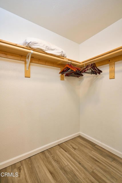 Building Photo - 886 Winding Way Dr