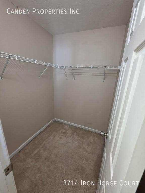 Building Photo - 3714 Iron Horse Court