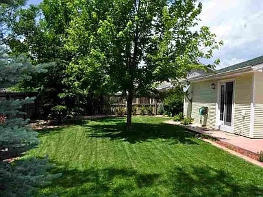 Backyard - 2043 Bronson St