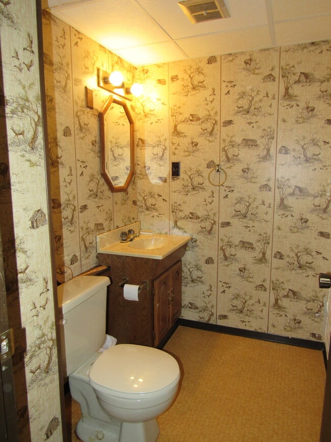 Basement half bath - 2586 E George Washington Blvd
