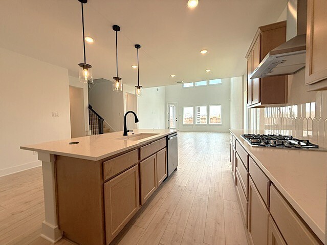 Building Photo - Brand New Home 5 bedroom, 4 bath with loft