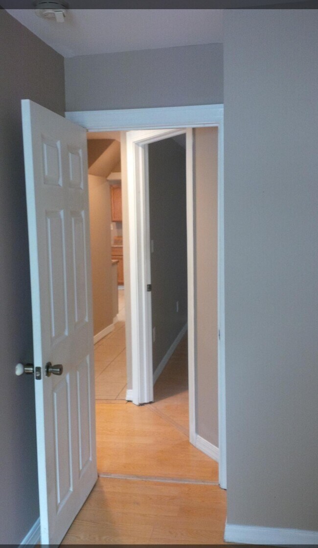 bedroom to hall - 103 W Chestnut St
