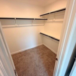 Building Photo - 1332 Honey Crk Dr