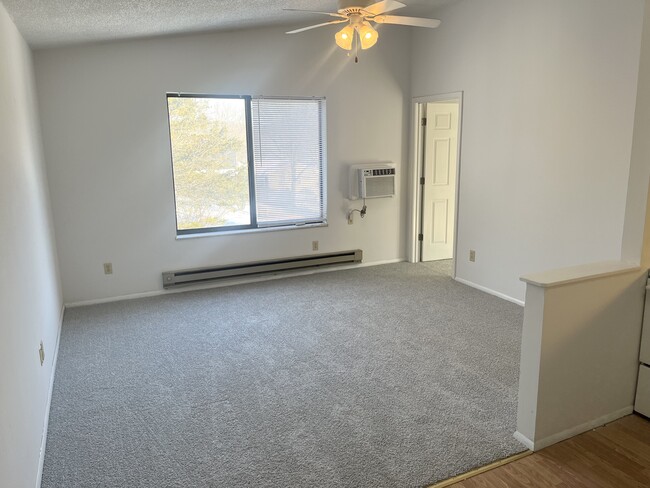 Large lovely living room area with new carpet and vaulted ceiling is bright and spacious. - 1014 Danwood Ln