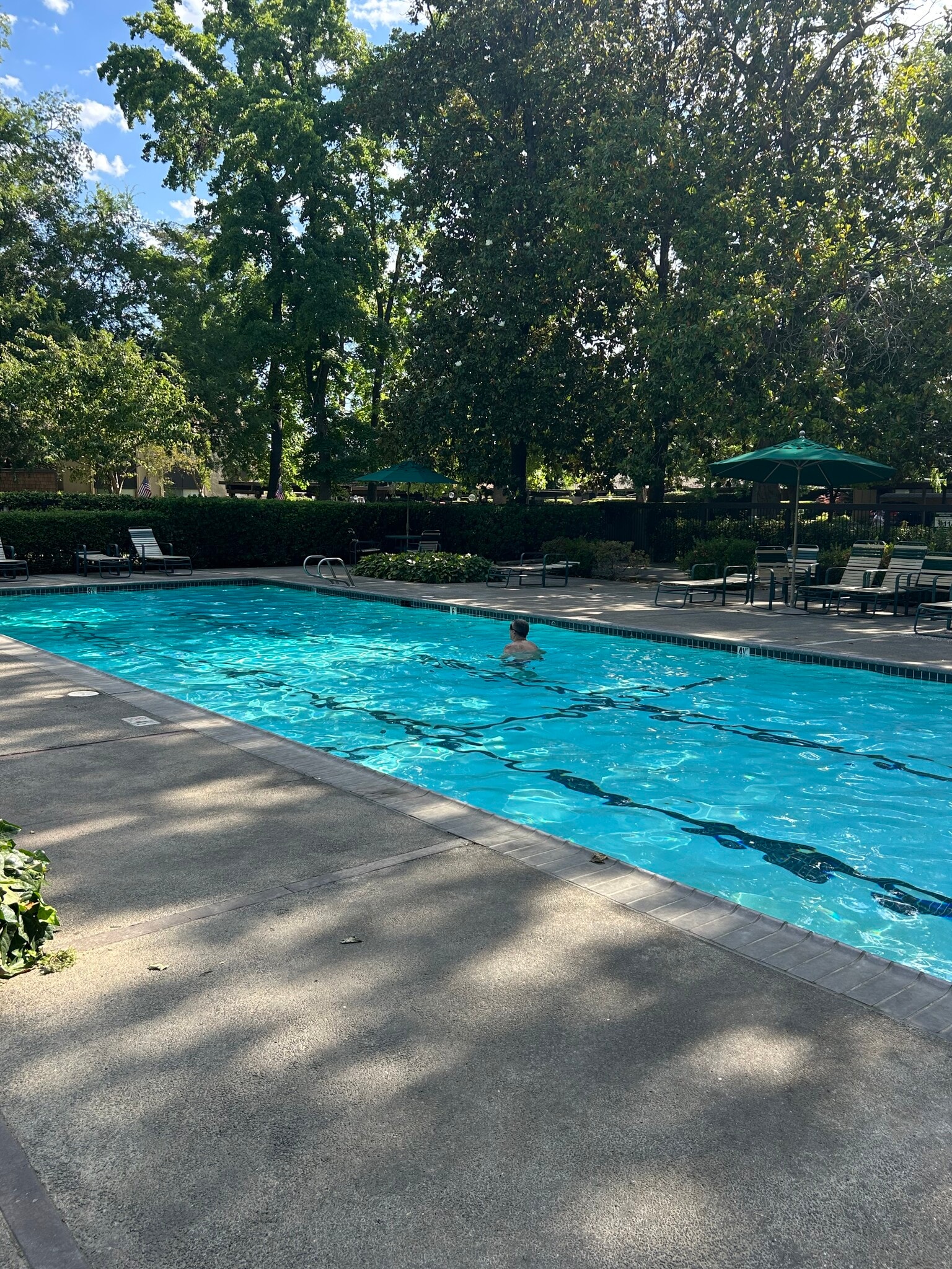 Pool - 871 Woodside Ln E