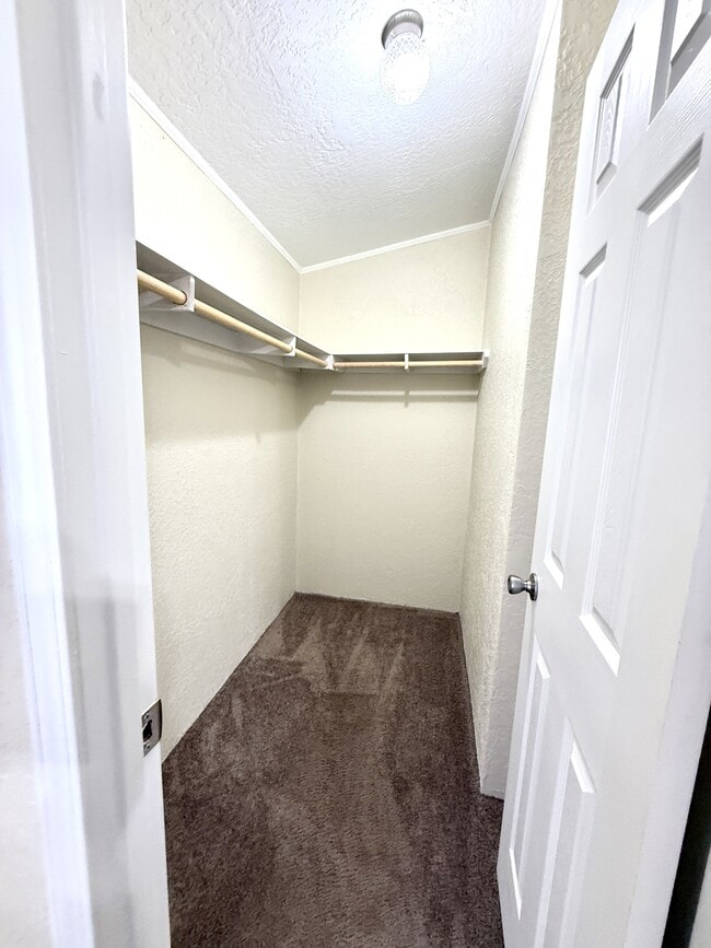 Building Photo - 291 Golden Dr