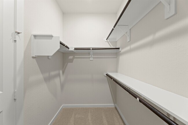 Building Photo - 11210 Cassia Tree Ln