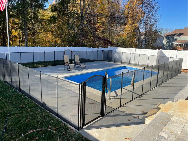 Backyard in ground pool - 1086 Spicer Dr