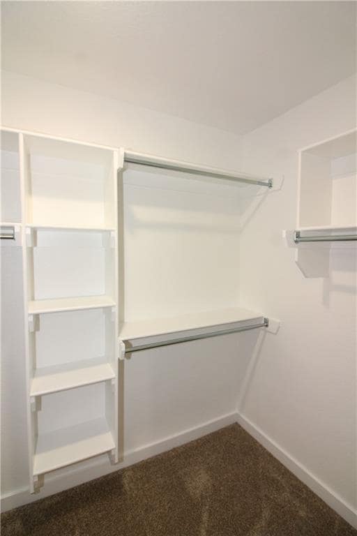 Building Photo - 1511 Purple Finch St