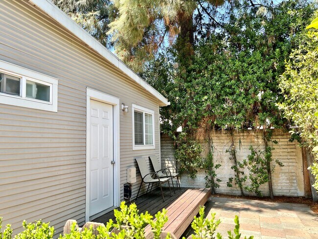backyard - 457 University Ave