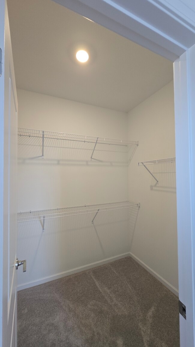 Building Photo - 3021 Rexton Ln