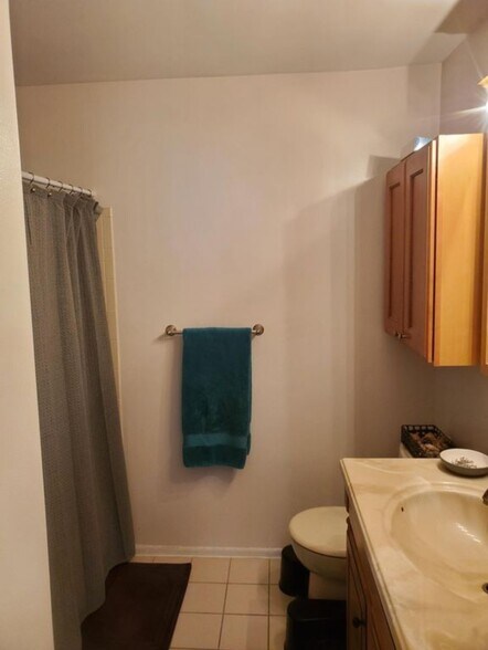 Master Bath - 452 Tournament Dr