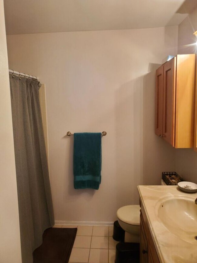 Master Bath - 452 Tournament Dr