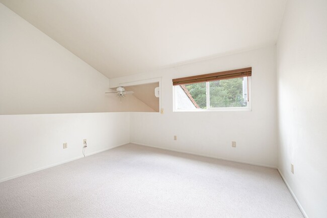 Building Photo - Beautiful large (914 sq feet) 1 bedroom no...