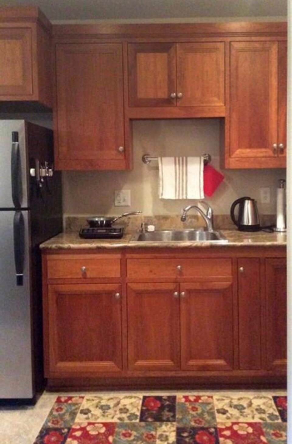 Induction hot plate - 445 S 4th St