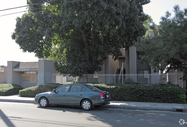 Primary Photo - 3914 Live Oak St