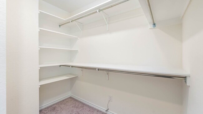 Building Photo - 8519 Adler Fall Ln